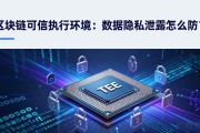 区块链可信执行环境：数据隐私泄露怎么防？