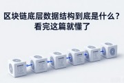 区块链底层数据结构到底是什么？看完这篇就懂了