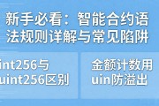 新手必看：智能合约语法规则详解与常见陷阱