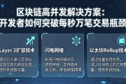 区块链高并发解决方案：开发者如何突破每秒万笔交易瓶颈