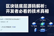 区块链底层源码解析：开发者必看的技术真相
