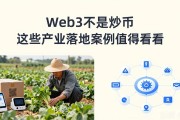 Web3不是炒币 这些产业落地案例值得看看