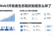 Web3开发者生态现状到底怎么样了