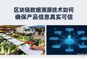 区块链数据溯源技术如何确保产品信息真实可信
