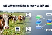 区块链数据溯源技术如何保障产品真伪可查