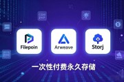 Web3 分布式存储生态怎么选 前景如何