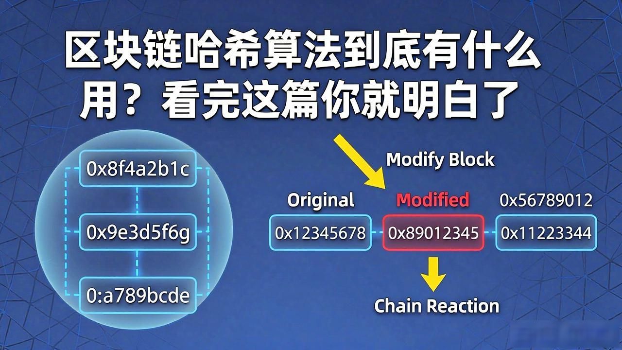 区块链的哈希_区块链的哈希算法_区块链哈希算法作用