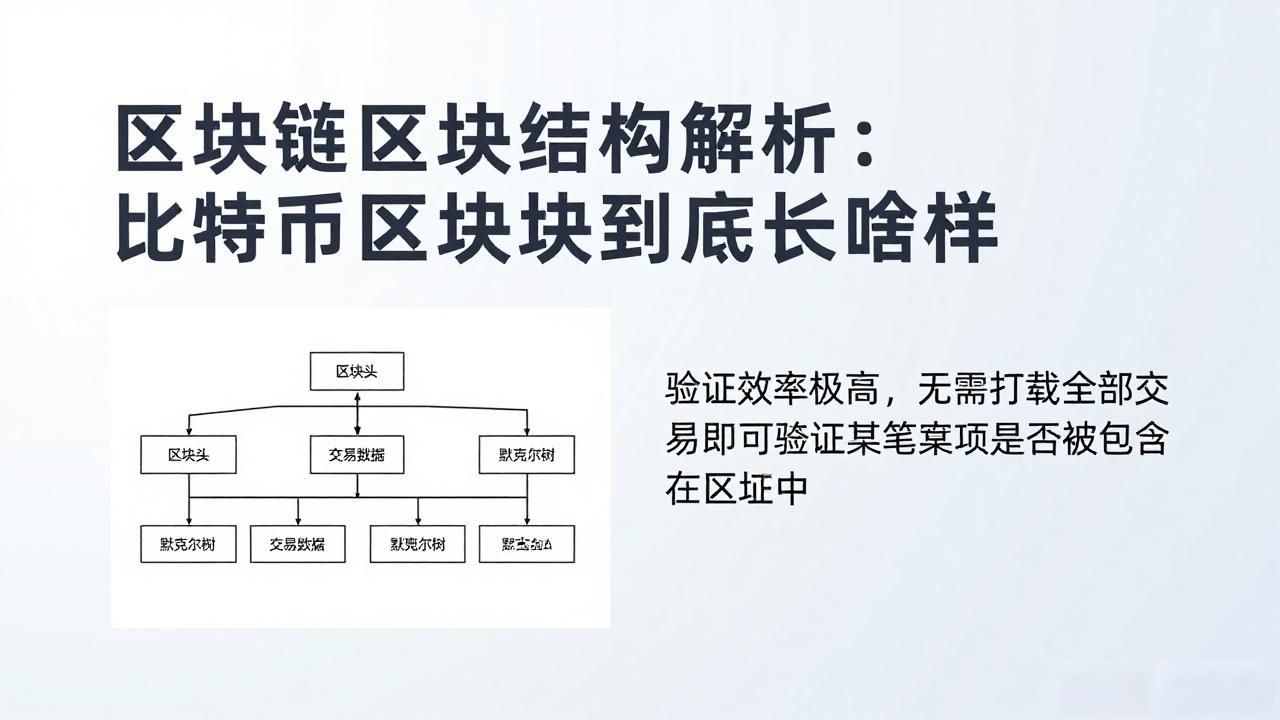 区块链解析结构包括_区块链区块结构解析_区块链解析结构是什么
